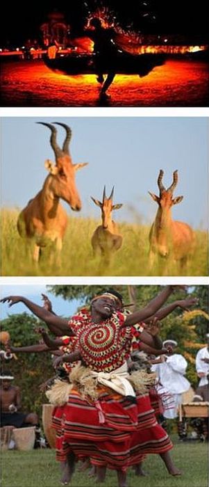 Национальный парк Семлики, ритуальные танцы народов Уганды